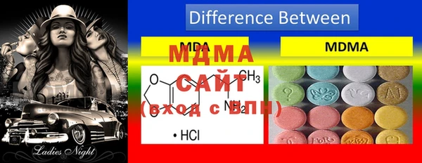 шишки Абаза