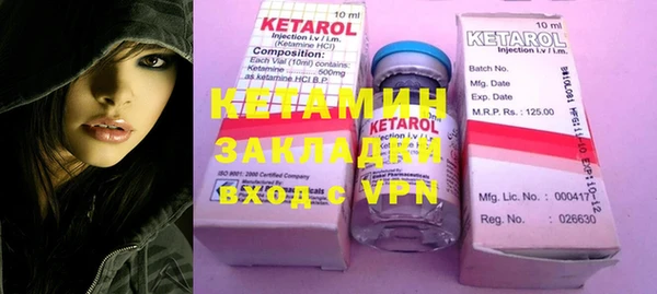 шишки Абаза