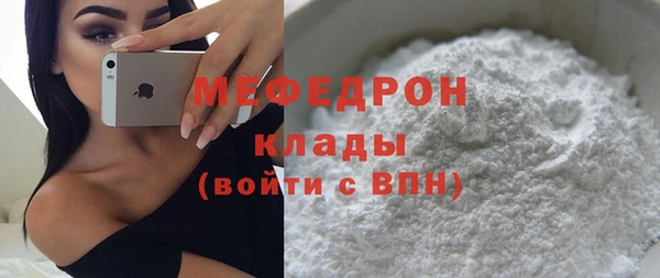 шишки Абаза