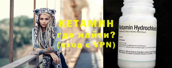 шишки Абаза