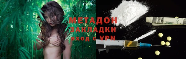 шишки Абаза