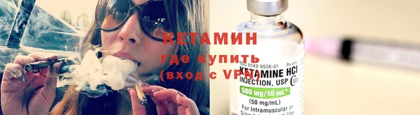 шишки Абаза