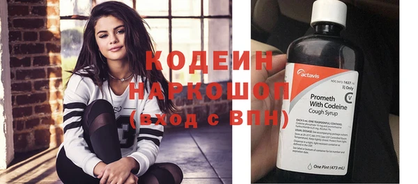 шишки Абаза