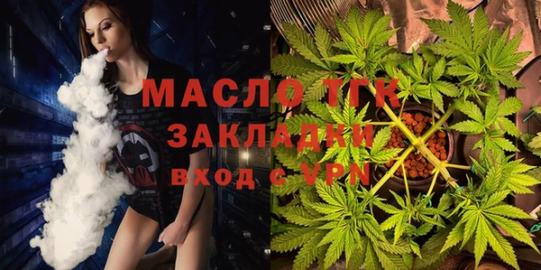 шишки Абаза